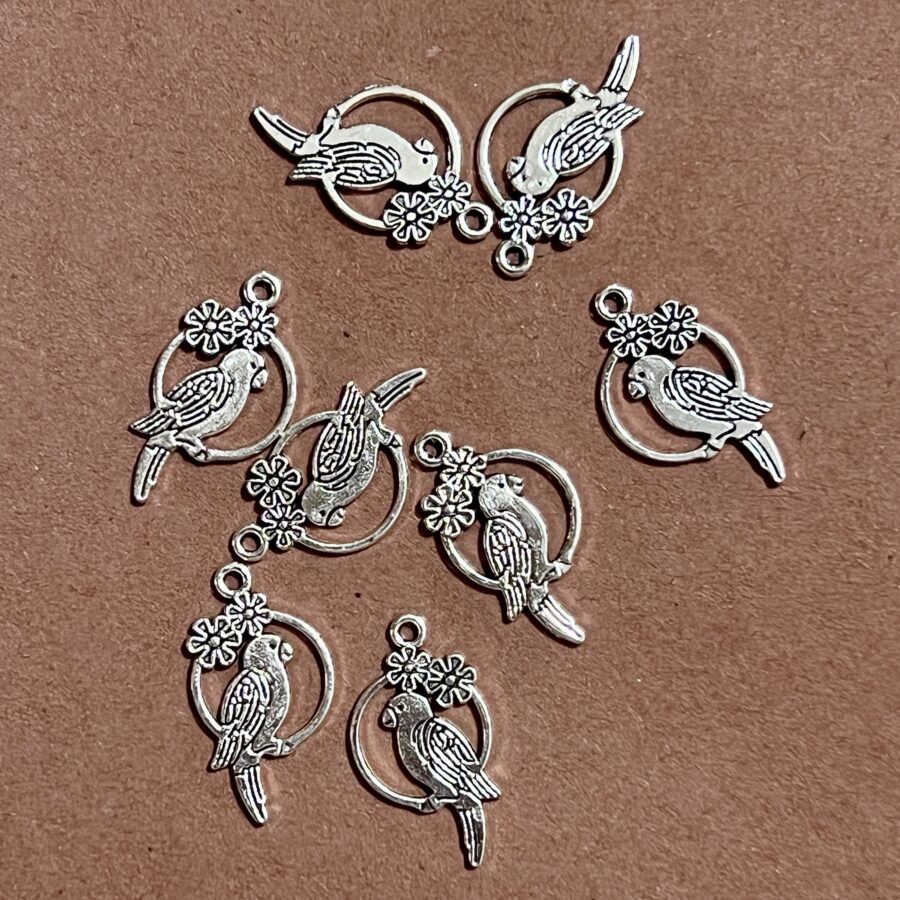 Punjabi jutti jewelry parrot design silver colour