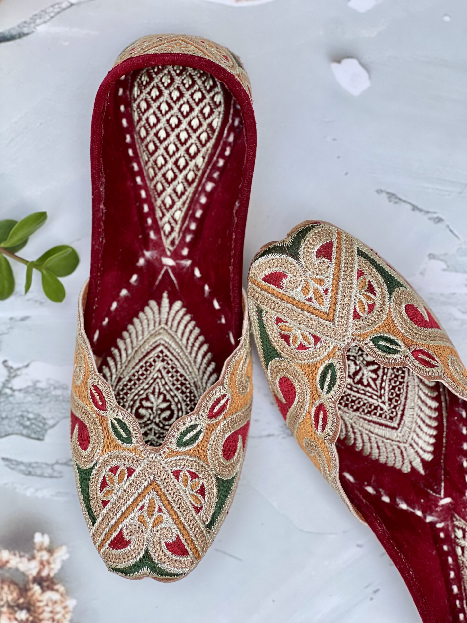 IMG_2945 Enchanting Multicolour Zari Jooti